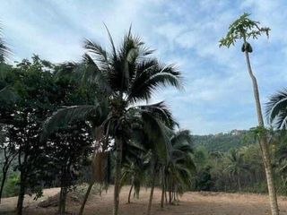 Grundstück zum Kauf in Ko Samui, Surat Thani