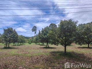 For sale land in Ko Samui, Surat Thani