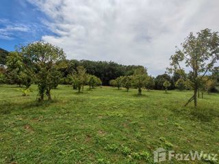 For sale land in Ko Samui, Surat Thani