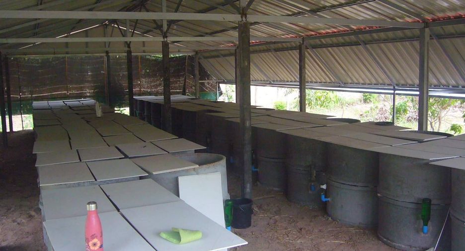 For sale 4 bedrooms hotel in Yang Talat, Kalasin