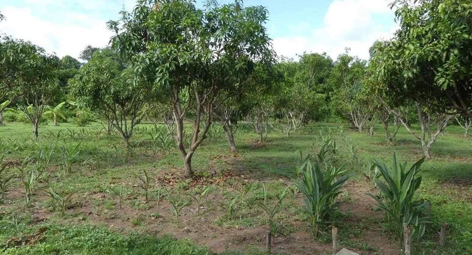 For sale 4 bedrooms hotel in Yang Talat, Kalasin