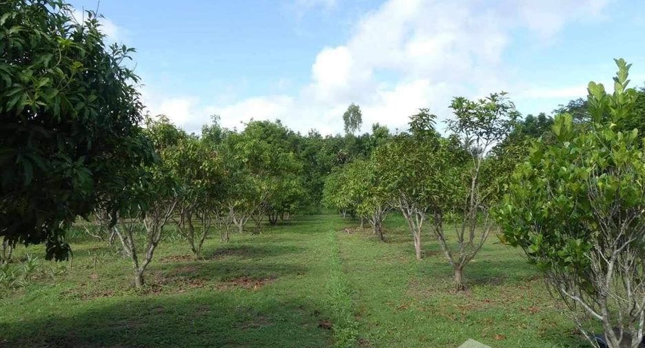 For sale 4 bedrooms hotel in Yang Talat, Kalasin