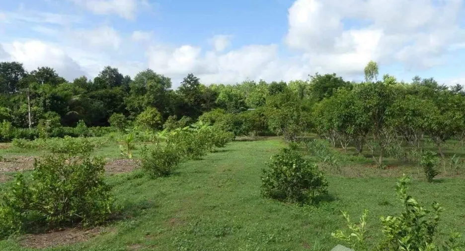 For sale 4 bedrooms hotel in Yang Talat, Kalasin