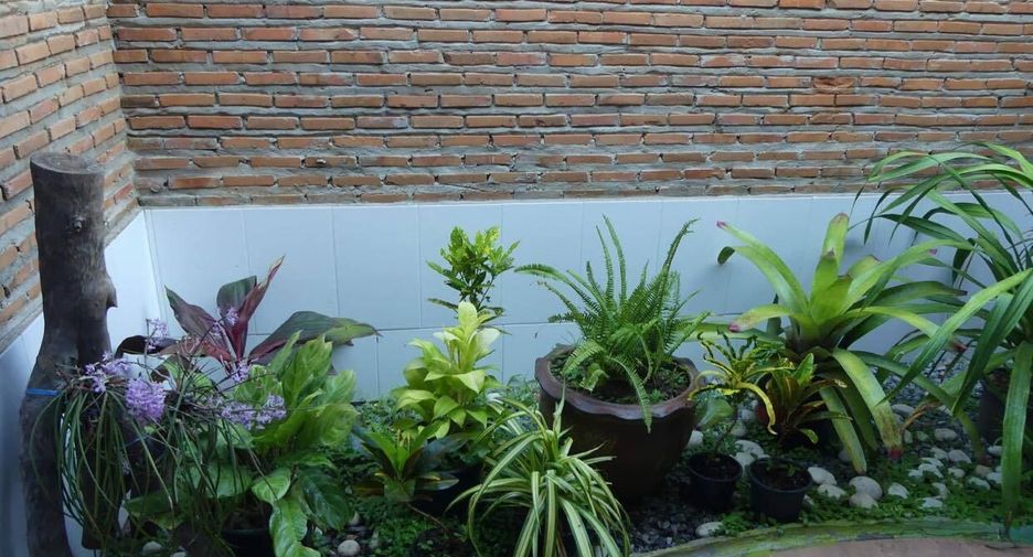 For sale 4 bedrooms hotel in Yang Talat, Kalasin