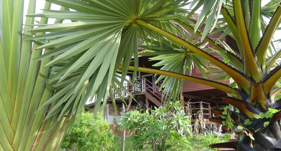 For sale 4 bedrooms hotel in Yang Talat, Kalasin