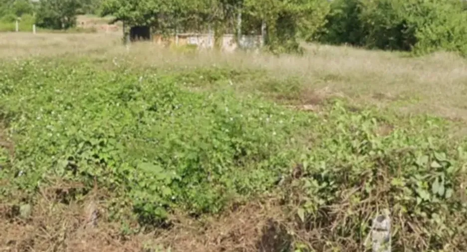 For sale land in Chiang Khan, Loei