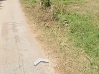 出售 土地 在 Chiang Khan, Loei