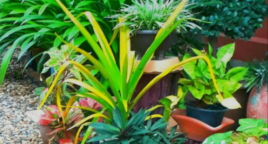 For sale 3 bedrooms house in Bang Phli, Samut Prakan