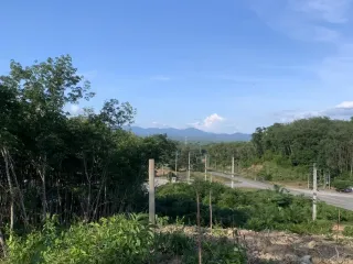 出售 土地 在 Mueang Trang, Trang