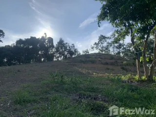 出售 土地 在 Mueang Trang, Trang