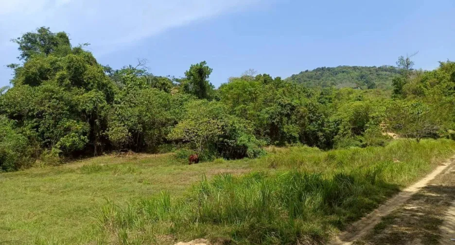 Terreno en venta en Thalang, Phuket