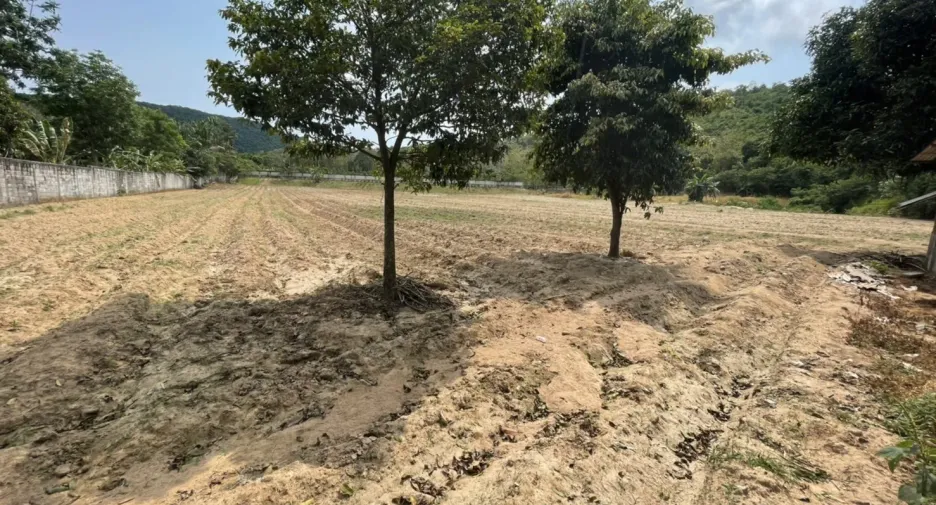 Grundstück zum Kauf in Sattahip, Chonburi
