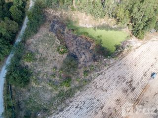 For sale land in Sattahip, Chonburi