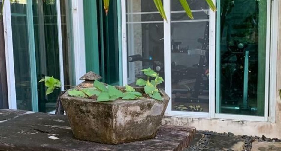 ขาย และ ให้เช่า 3 ห้องนอน บ้านเดี่ยว ใน ถลาง, ภูเก็ต
