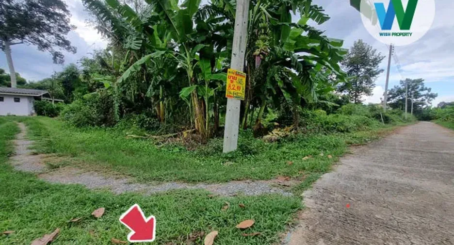 For sale land in Manorom, Chainat