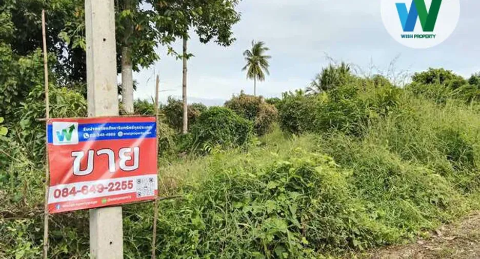 For sale land in Manorom, Chainat
