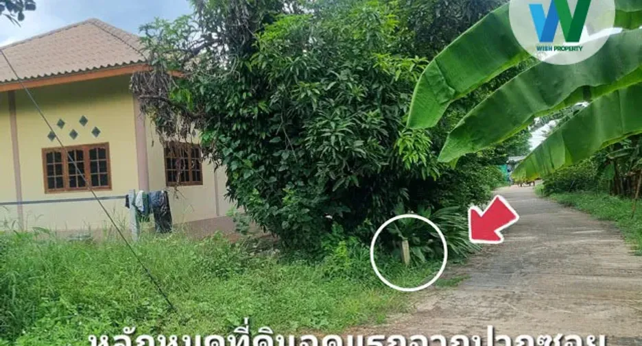 For sale land in Manorom, Chainat