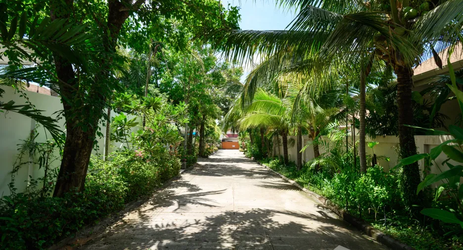 For sale and for rent 3 bedrooms villa in Thalang, Phuket