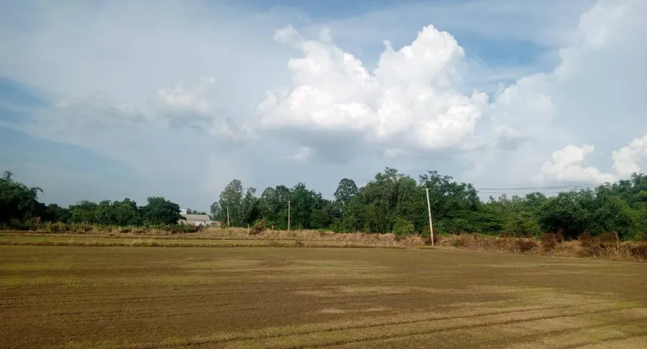 For sale land in Mueang Nakhon Sawan, Nakhon Sawan