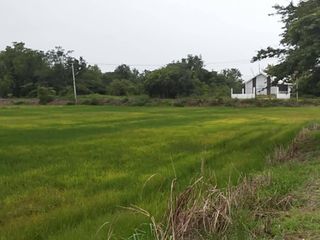 À vendre terrain à Mueang Nakhon Sawan, Nakhon Sawan