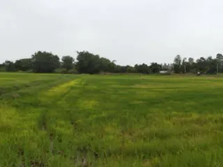 出售 土地 在 Mueang Nakhon Sawan, Nakhon Sawan