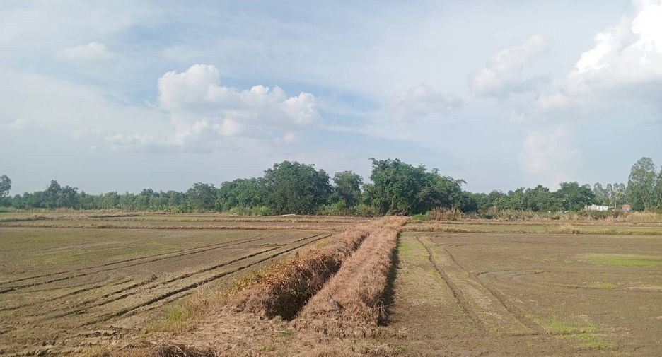 For sale land in Mueang Nakhon Sawan, Nakhon Sawan