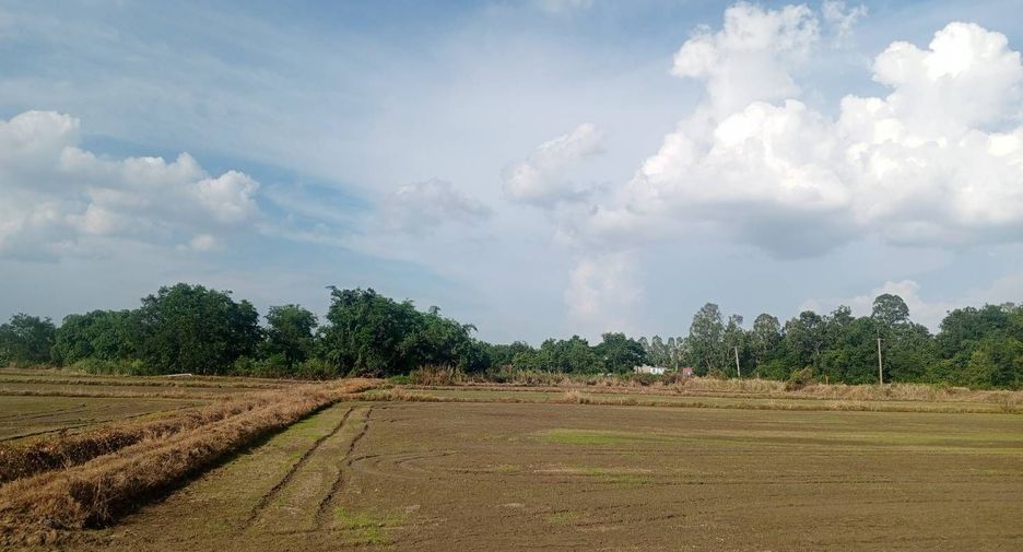 For sale land in Mueang Nakhon Sawan, Nakhon Sawan