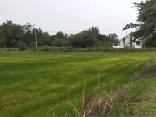 出售 土地 在 Mueang Nakhon Sawan, Nakhon Sawan
