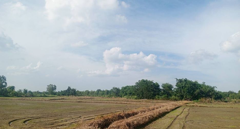 For sale land in Mueang Nakhon Sawan, Nakhon Sawan