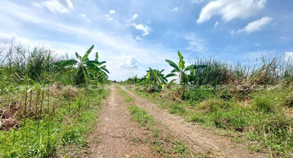 For sale land in Lat Lum Kaeo, Pathum Thani