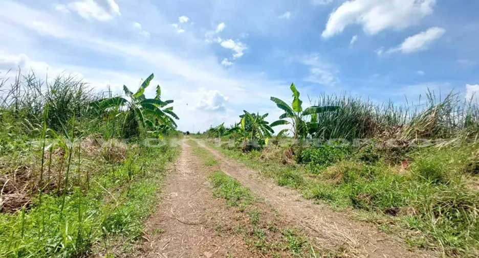 For sale land in Lat Lum Kaeo, Pathum Thani