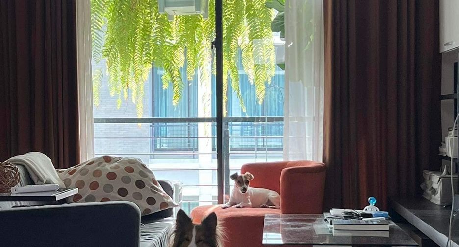 For sale 3 bedrooms townhouse in Bang Kapi, Bangkok