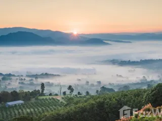 出售 土地 在 Pai, Mae Hong Son