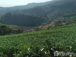 出售 土地 在 Pai, Mae Hong Son