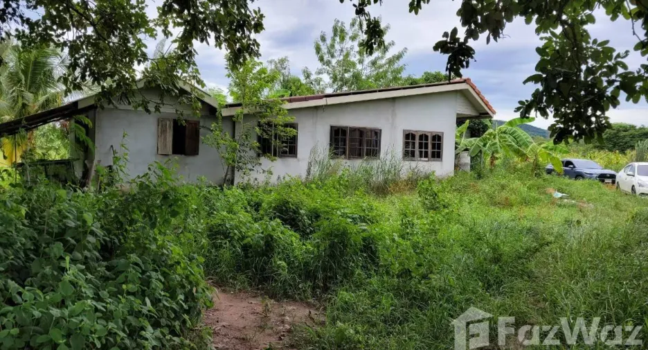 For sale land in Suan Phueng, Ratchaburi