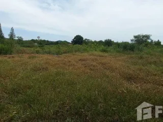 出售 土地 在 Suan Phueng, Ratchaburi