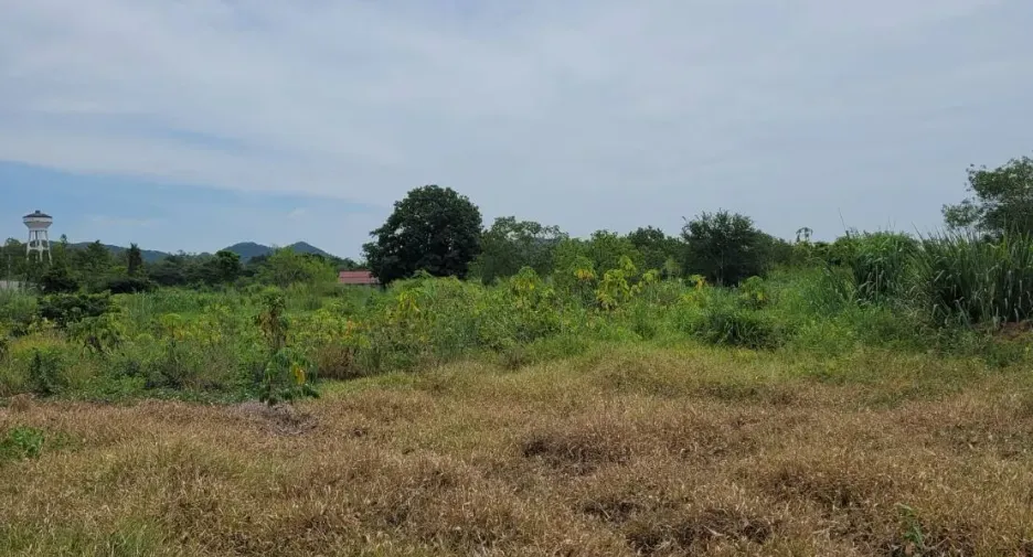 For sale land in Suan Phueng, Ratchaburi