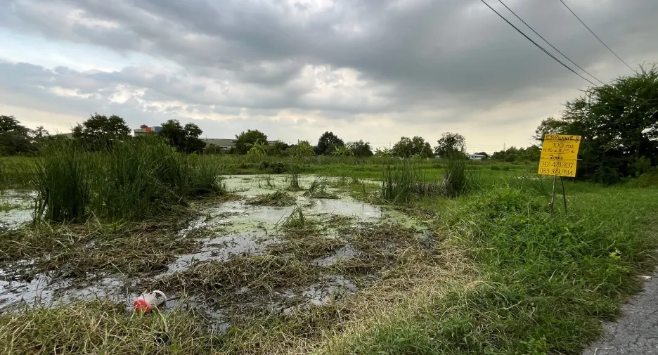 For sale land in Nong Chok, Bangkok