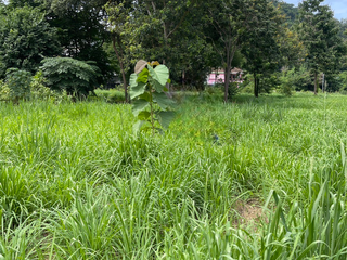 Terreno en venta en Si Racha, Chonburi