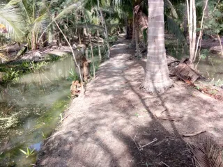 Продажа Участок в Amphawa, Самутсонгкхрам