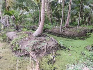 Terreno en venta en Amphawa, Samut Songkhram