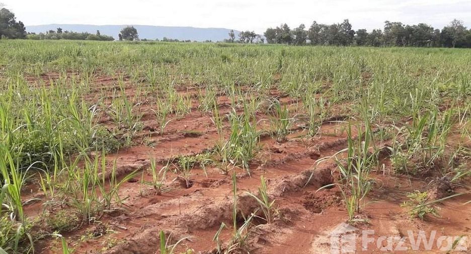 For sale land in Mueang Nongbua Lamphu, Nong Bua Lamphu
