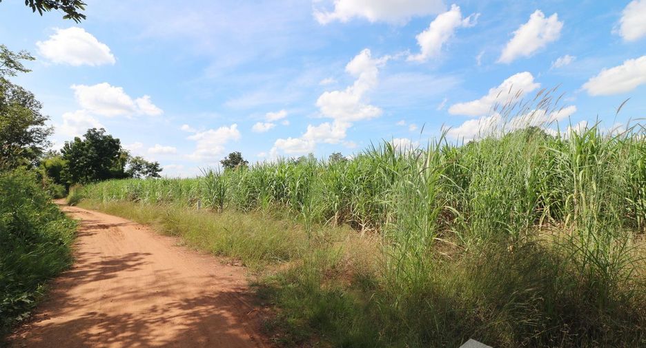 For sale land in Mueang Nongbua Lamphu, Nong Bua Lamphu