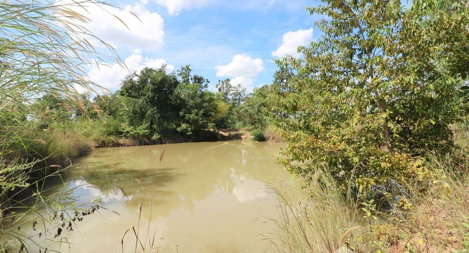 For sale land in Mueang Nongbua Lamphu, Nong Bua Lamphu