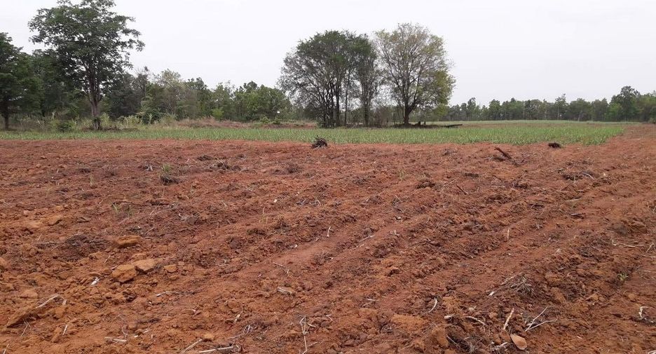 For sale land in Mueang Nongbua Lamphu, Nong Bua Lamphu