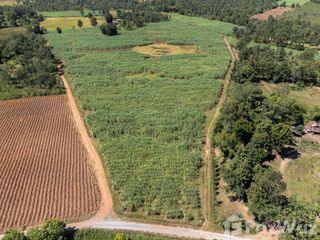 For sale land in Mueang Nongbua Lamphu, Nong Bua Lamphu