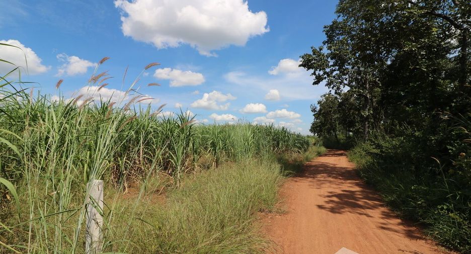 For sale land in Mueang Nongbua Lamphu, Nong Bua Lamphu