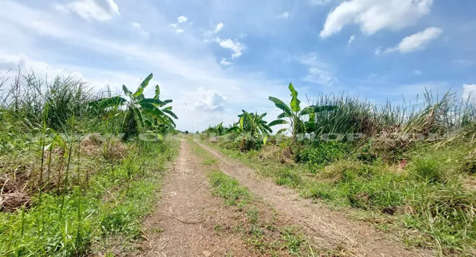Продажа Участок в Lat Lum Kaeo, Патумтани