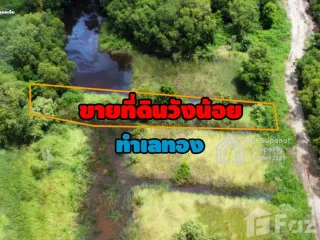 For sale land in Wang Noi, Phra Nakhon Si Ayutthaya