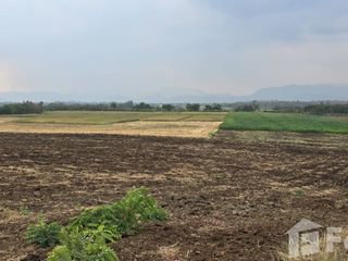 出售 土地 在 Mueang Phetchabun, Phetchabun